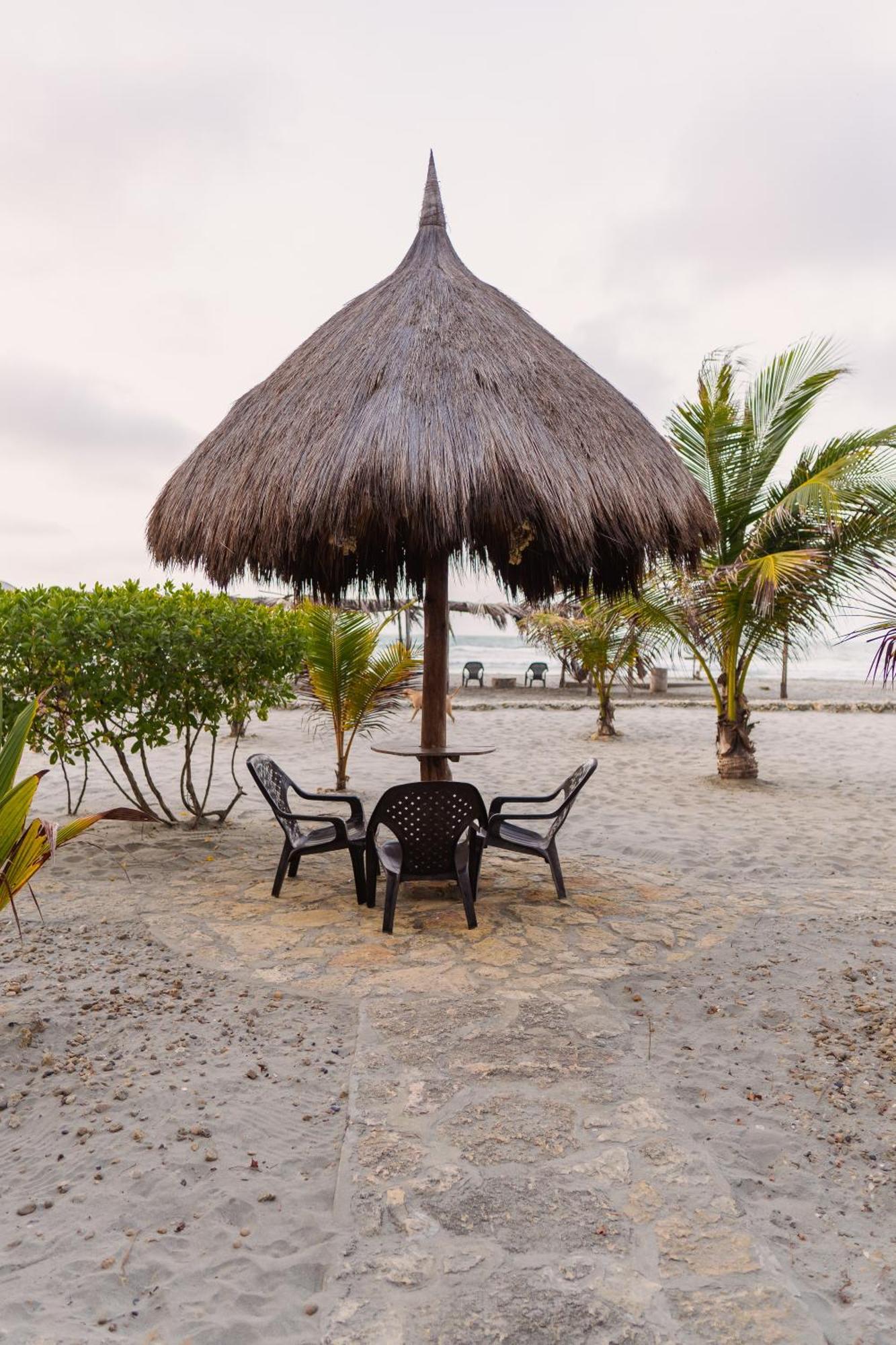 Paraiso Natural Ecohotel Сан Бернардо дел Виенто Екстериор снимка